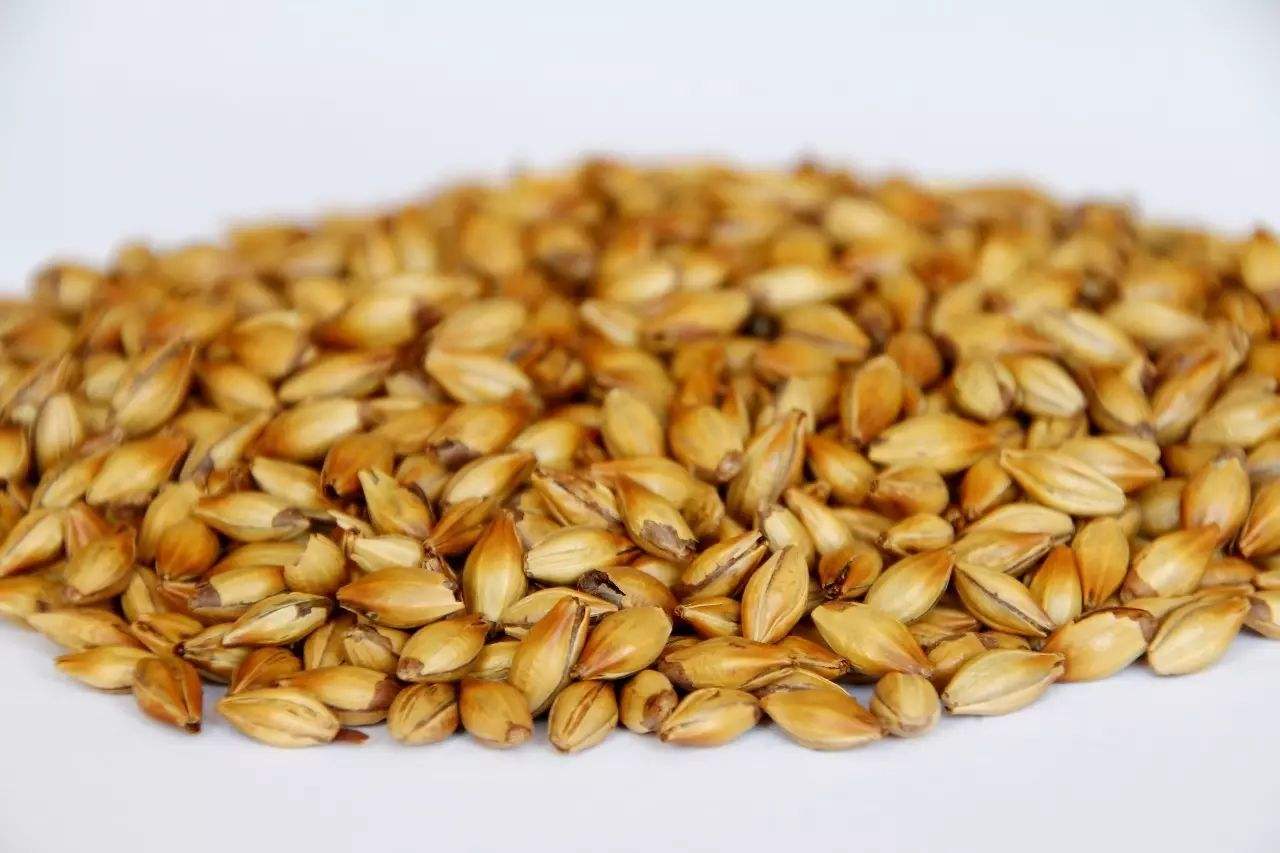 做精釀啤酒，如何選擇合適的粉碎機？