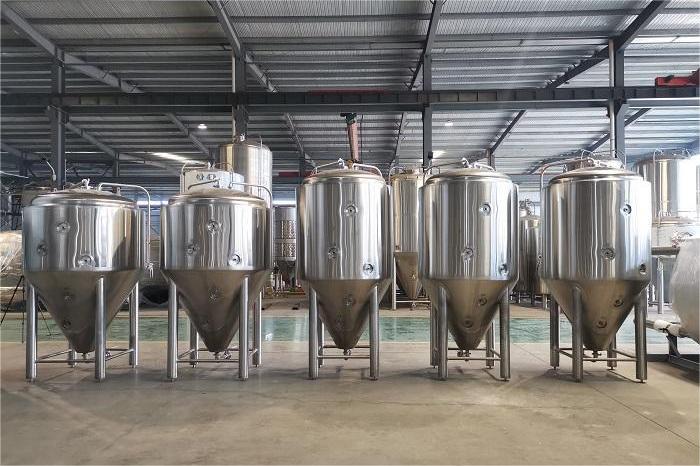 主發酵過程中有哪些關鍵要素？