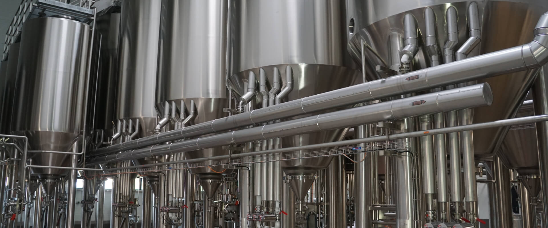 主發酵的工藝要點是什么？