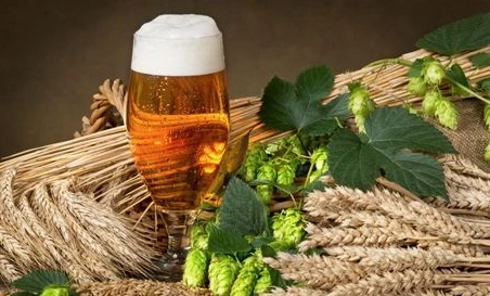 精釀啤酒中，如何選擇恰當?shù)慕湻椒ǎ?> </a>
    </dt> 
    <dd> 
     <h4><a href=